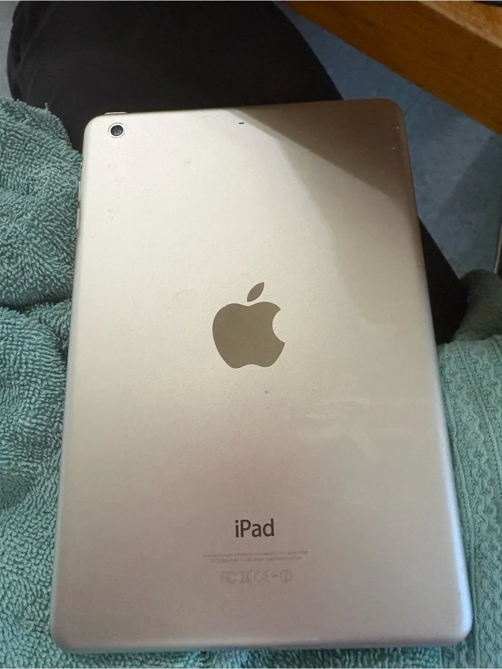 iPad Mini 2 Apple 16GB - Front Home Button